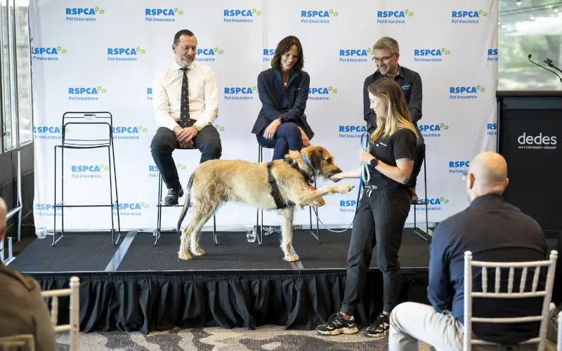 A dog giving its paw to a member of the launch panel