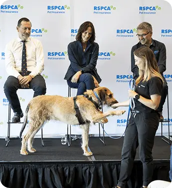 A dog giving its paw to a member of the launch panel