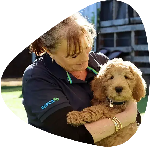 RSPCA representative holding a puppy