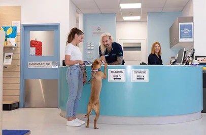 A dog greeting an RSPCA representative at reception