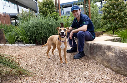 An RSPCA representative sitting outside with a dog