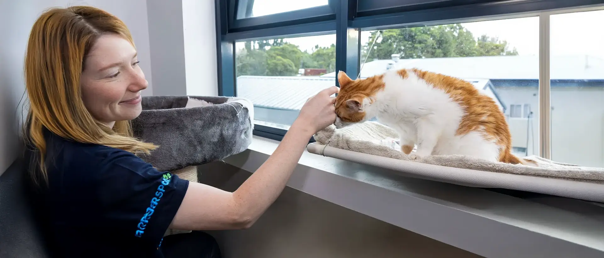 An RSPCA representative stroking an orange and white cat