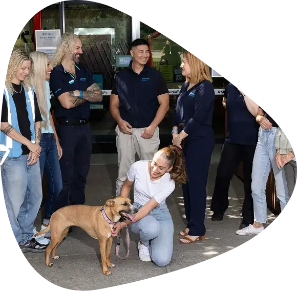 A group of RSPCA volunteers