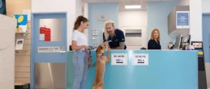 A dog at the vet reception