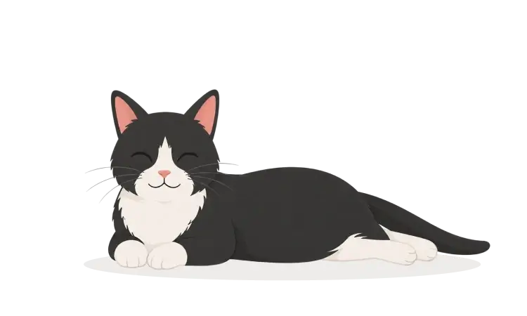 A happy cat