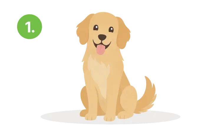 A happy dog