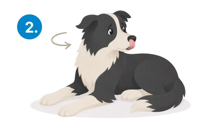 A worried dog