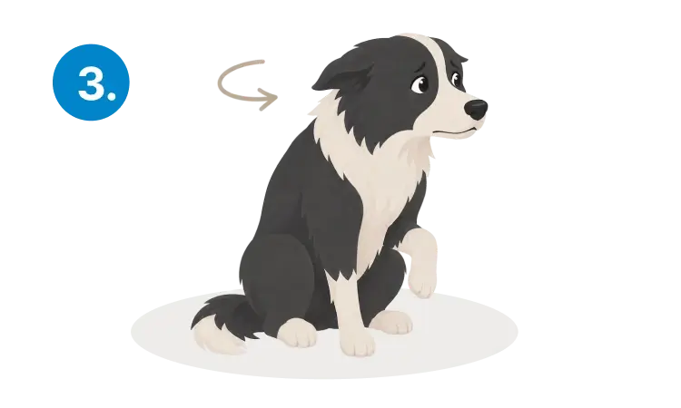 A worried dog