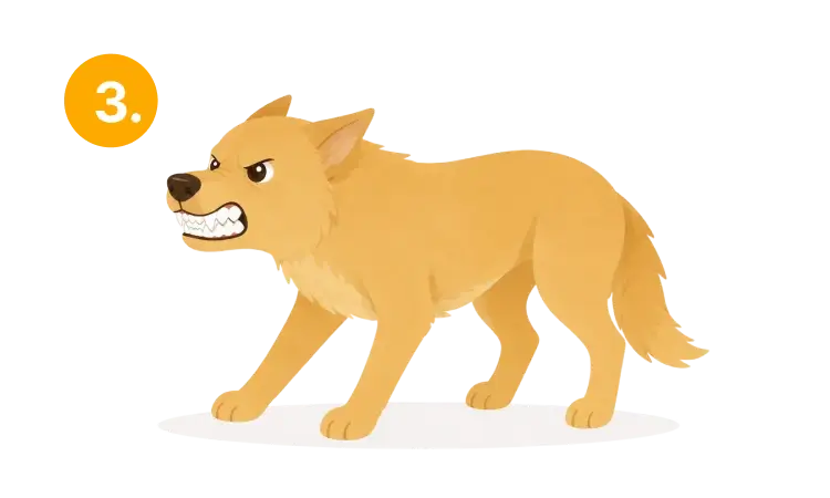 An angry or very unhappy dog