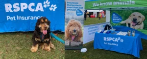 RSPCA Pet Insurance at Canberra paws walk
