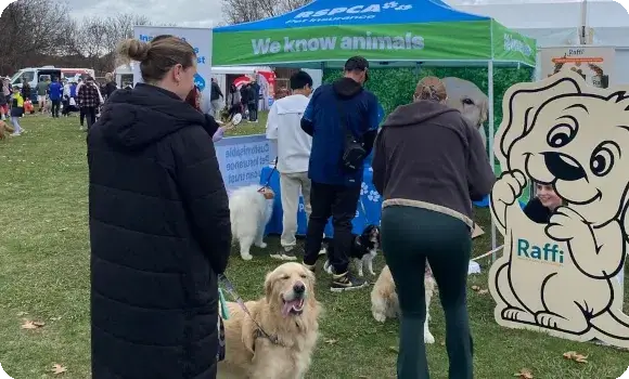 RSPCA Pet Insurance tent at Canberra paws walk