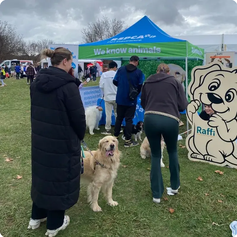 RSPCA Pet Insurance tent at Canberra paws walk