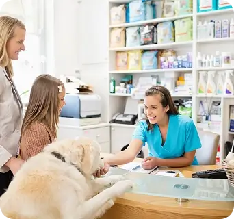A dog at the vet counter