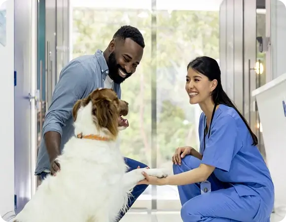 Dog at vet