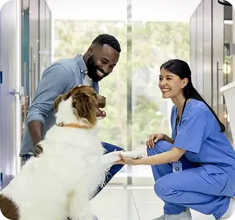 Dog at vet