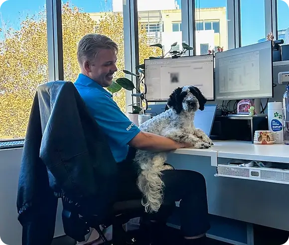 A dog at work