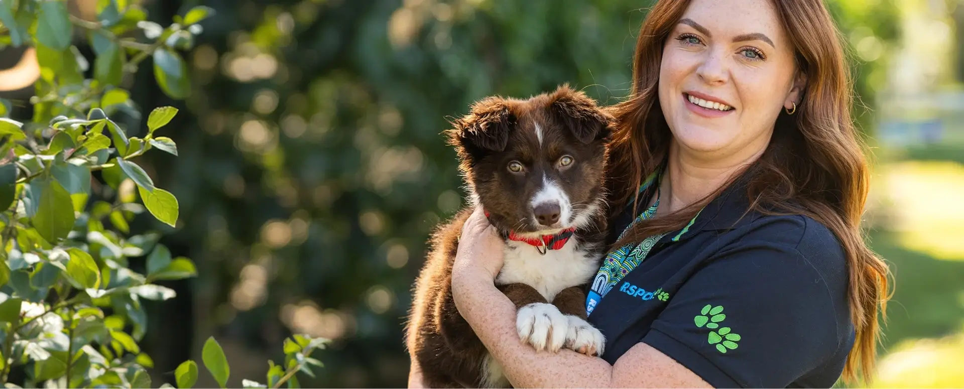 RSPCA representative holding a puppy