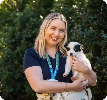 RSPCA representative holding a puppy