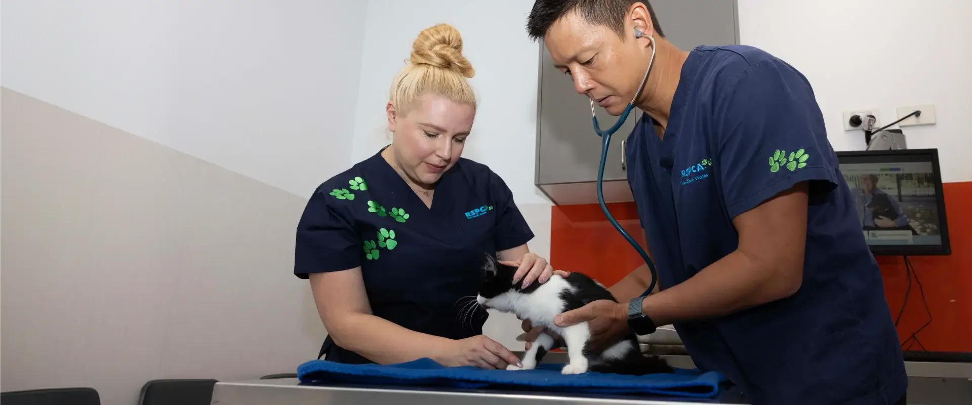 RSPCA represetatives with a cat on the table