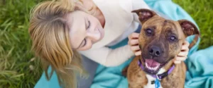 A dog being petted outside