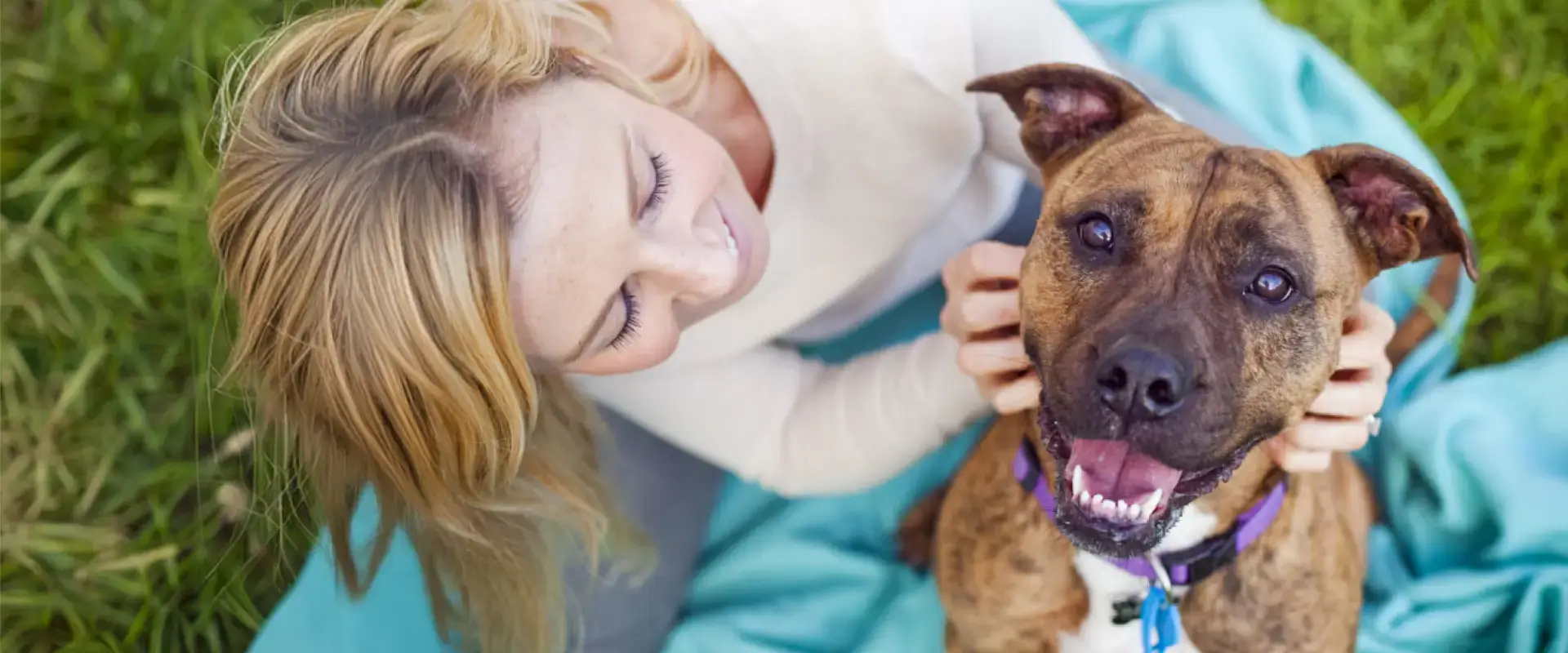 A dog being petted outside