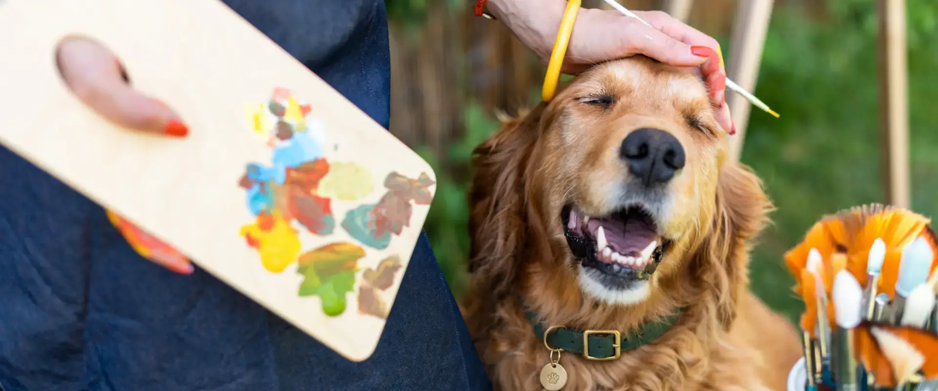 A dog surrounded by crafts