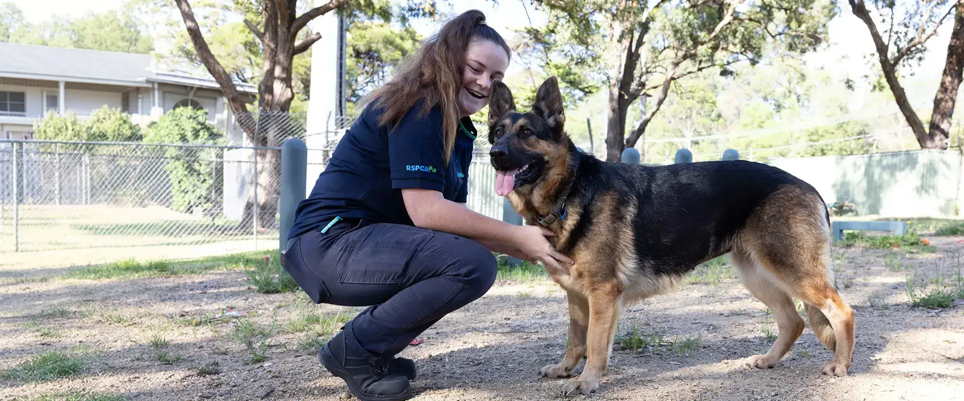 A dog with an RSPCA representative